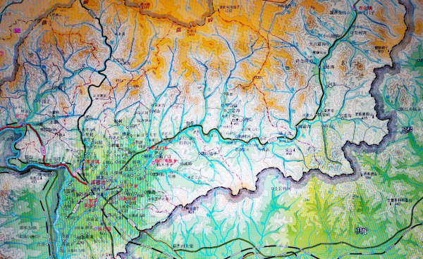 2013年春,東北虎5天4次光顧琿春3個鄉鎮3戶農家,吃牛4頭 2013年春,東北虎5天4次光顧琿春3個鄉鎮3戶農家,吃牛4頭