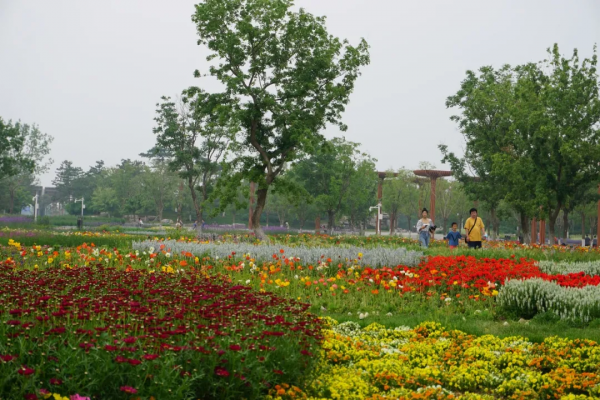 京城這個爆火的4A級景區，你打卡了嗎？快收下這份經典路線攻略，跟著走就行！