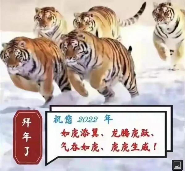 虎年話虎氣
