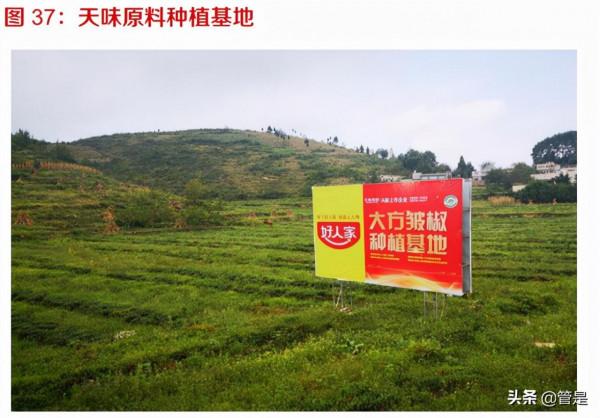 天味食品研究報告：渠道全國鋪開推動增長，中式復調品類佔優