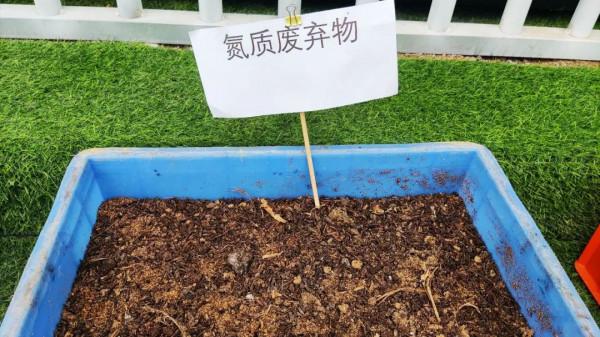 投入2000萬苦研“魚菜共生”,只為讓更多人平價吃到頂級食材 投入2000萬苦研“魚菜共生”,只為讓更多人平價吃到頂級食材