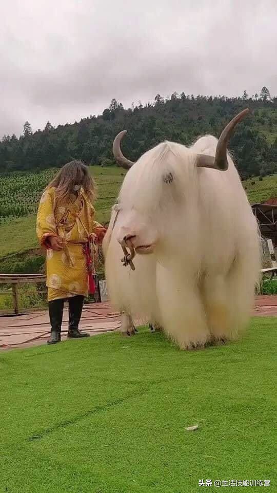 35張圖片帶我們領略大自然的狂野和美麗 35張圖片帶我們領略大自然的狂野和美麗