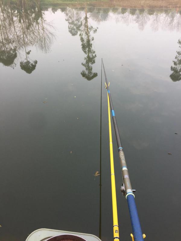 風餐露宿戲“花妹”，臨溪下餌為怡心