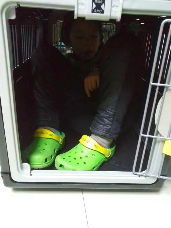 米莎，真的相忘於江湖嗎？