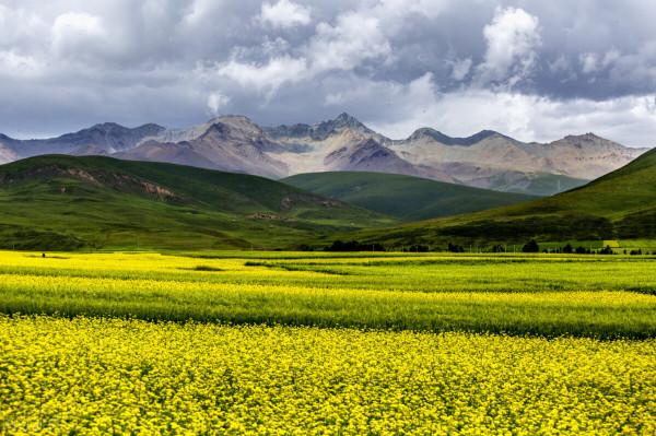 青海旅遊必去的十二大景區 青海旅遊必去的十二大景區