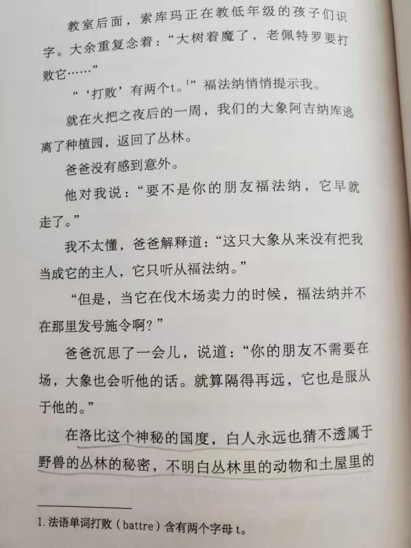 家有男孩,建議閱讀:《大象的主人》,讓孩子有自己的社交和友誼 家有男孩,建議閱讀:《大象的主人》,讓孩子有自己的社交和友誼