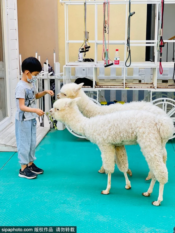 遛娃聖地!北京南四環藏著個童話般的歐洲小鎮,還能免費停車! 遛娃聖地!北京南四環藏著個童話般的歐洲小鎮,還能免費停車!