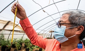 走進中肯作物分子生物學聯合實驗室「圖」