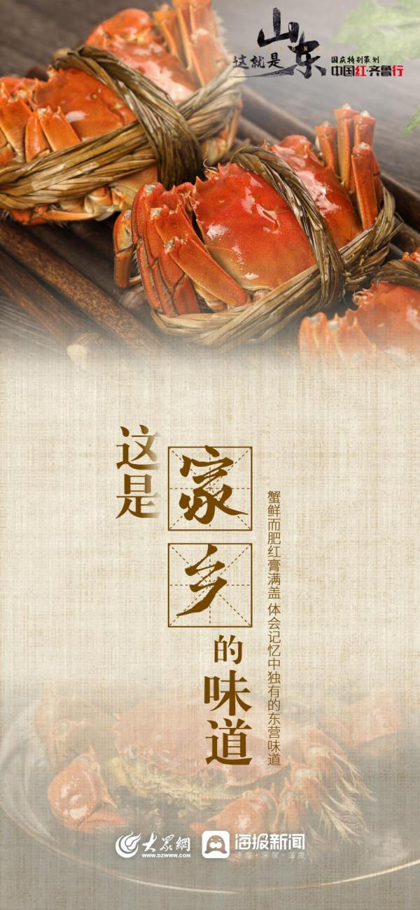 中國紅•齊魯行 | 走進美麗的黃河入海口