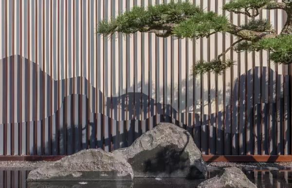 花園植物小百科 | 你的花園到底適合種什麼植物？對症下藥是關鍵