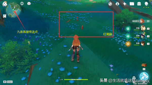 原神四方之網可捕捉小動物位置彙總一覽