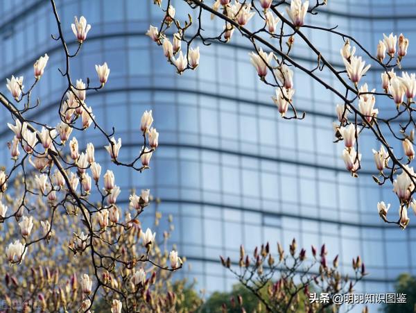 雲南的30個冷知識,你確定都知道嗎? 雲南的30個冷知識,你確定都知道嗎?