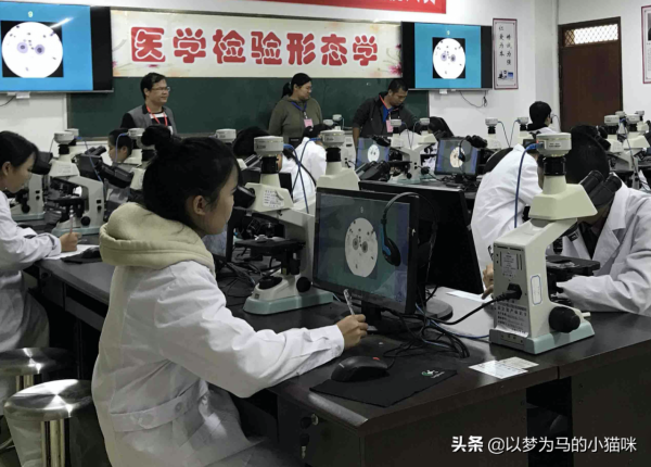 高三女生適合的5類“醫學專業”，就業比較輕鬆，工作壓力也較小