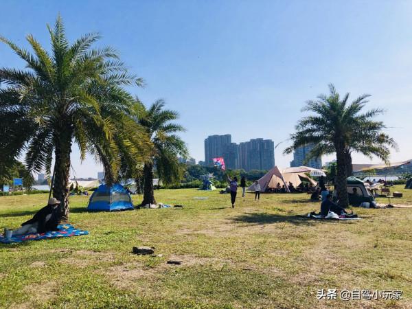 終於找到了！藏在廣州市區最舒服的露營天堂，沒想到不用花一分錢