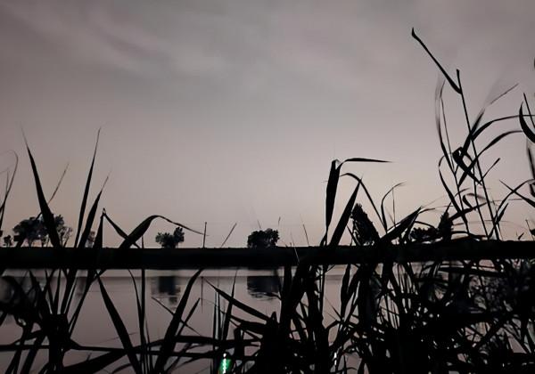 3年前的一次夜釣,至今難忘!從那以後不再獨自夜釣 3年前的一次夜釣,至今難忘!從那以後不再獨自夜釣