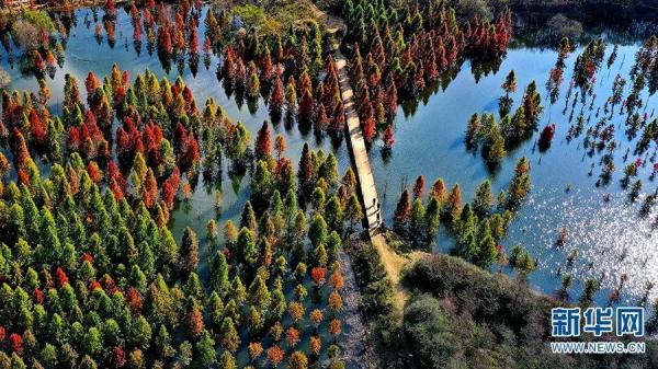 這也太太太美了吧！你覺得適合約誰去？