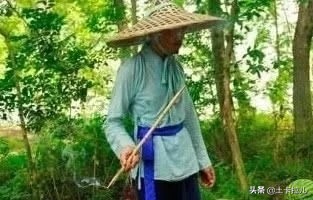 乾隆路邊口渴,吃了一老農的西瓜解渴,走了500米後下令:殺了 乾隆路邊口渴,吃了一老農的西瓜解渴,走了500米後下令:殺了