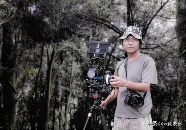 【雲南生物多樣性數字化百科圖譜】雉雞：“野雞”意味著醜？是時候科普一波了！