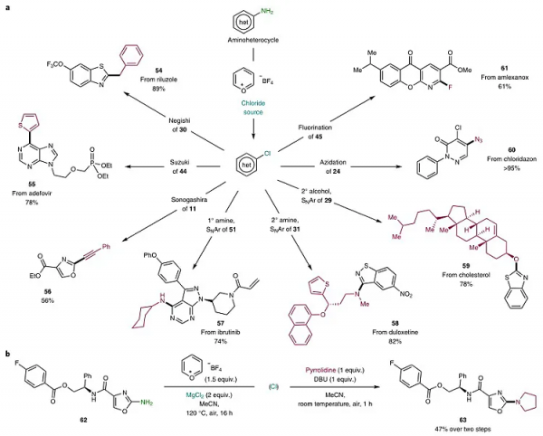 氨基雜環的脫氨氯化
