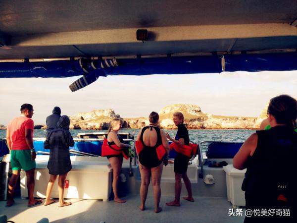 西半球旅行記6:巴亞爾塔港——探訪神秘的肚臍眼兒島 西半球旅行記6:巴亞爾塔港——探訪神秘的肚臍眼兒島