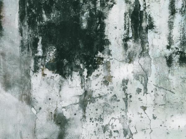 小米12 Pro對比小米12，攝影精選