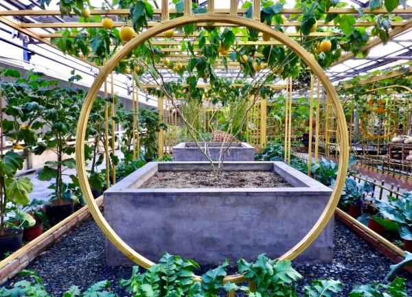 【FENG娛】速看!世界花卉大觀園裡有什麼?細數那些藏不住的精彩! 【FENG娛】速看!世界花卉大觀園裡有什麼?細數那些藏不住的精彩!