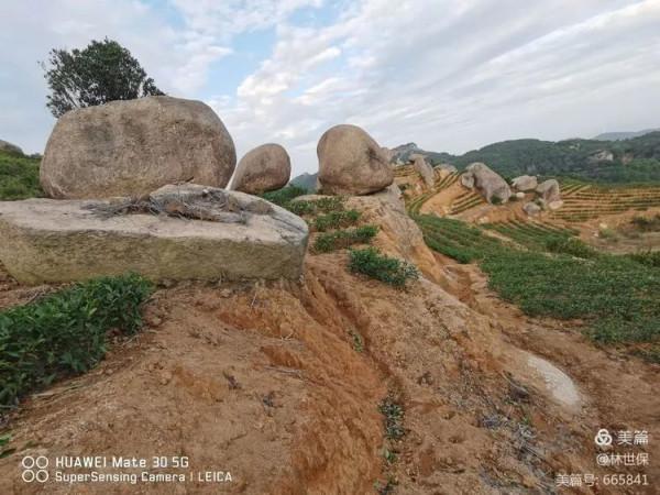 朋友圈2021年第31期