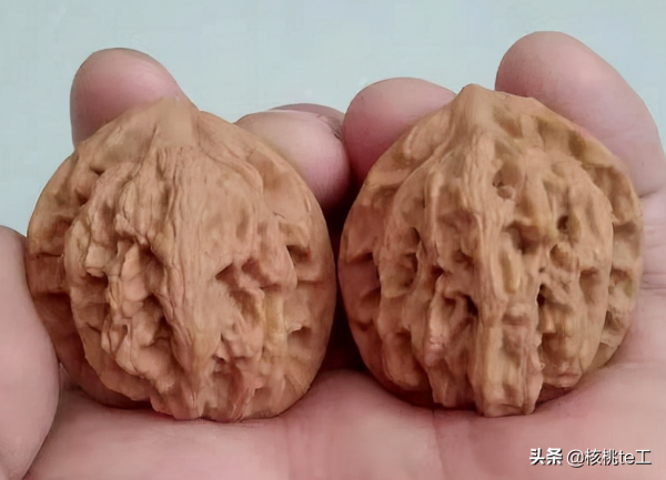 150種文玩核桃品種分享之114：粗筋虎頭