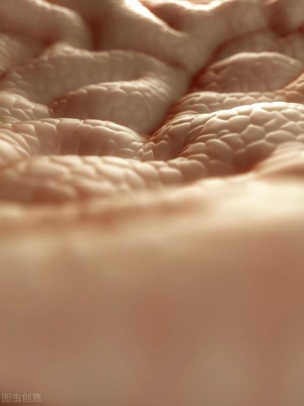 胃黏膜一般多久能恢復 胃黏膜一般多久能恢復