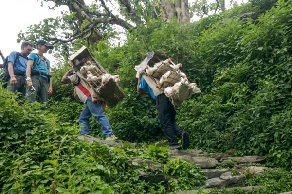 為什麼有這麼多人痴迷於去尼泊爾爬山？