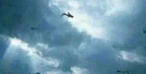 神話故事張三小投師訪友西行記系列九搭救猩猩男孩原創作者宋文周 神話故事張三小投師訪友西行記系列九搭救猩猩男孩原創作者宋文周