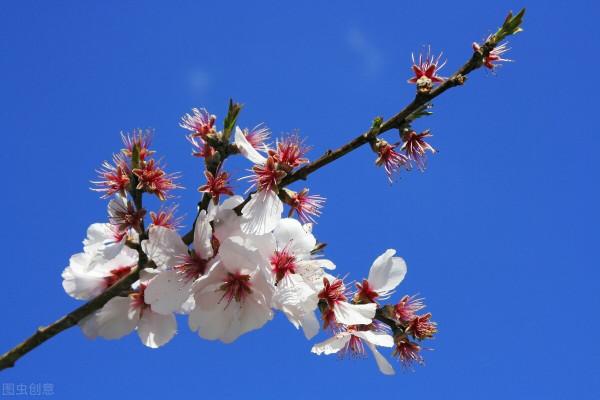 處世的最高境界：話不隨口，事不隨心，人不隨意