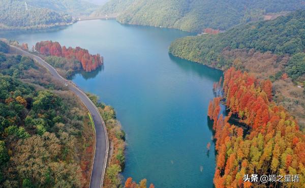 冷灣水庫，紅杉絢爛，豪門人家，水岸風景