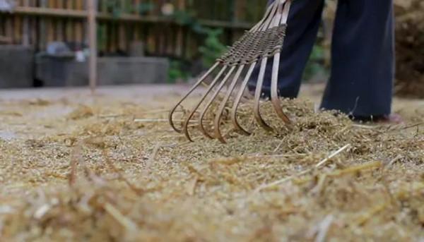 李子柒傳播的十大東方文化十首詩（前五），她與薇婭你更喜歡誰？