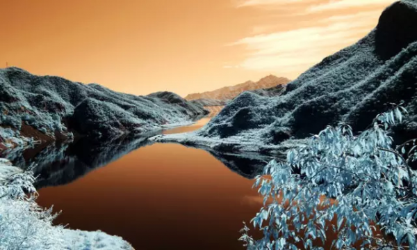 品,秋的味道 品,秋的味道