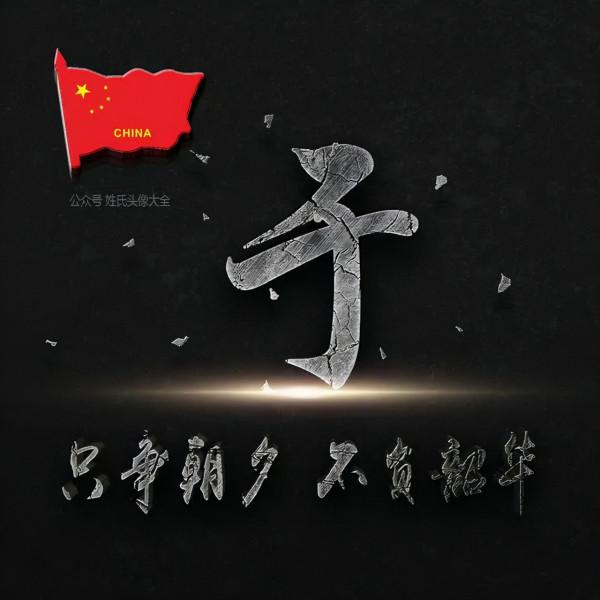 200張正能量姓氏頭像，張張精品，只爭朝夕 不負韶華