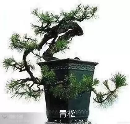 「原創散文」閒事兒 「原創散文」閒事兒