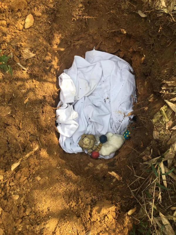 我作為一個非常愛狗的人,為什麼再也不養狗了 我作為一個非常愛狗的人,為什麼再也不養狗了