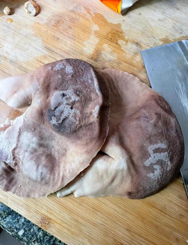 冬日到，各種補藥不如來一碗豬肚雞骨湯～暖心又暖胃