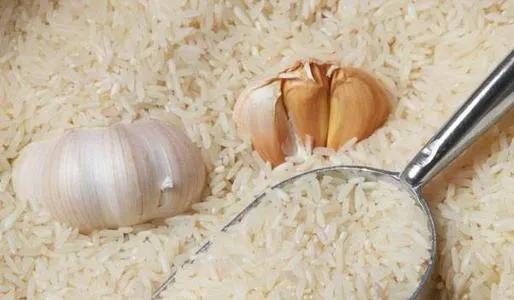 有趣而無用的17個冷知識,雨滴會不會砸死蚊子? 有趣而無用的17個冷知識,雨滴會不會砸死蚊子?