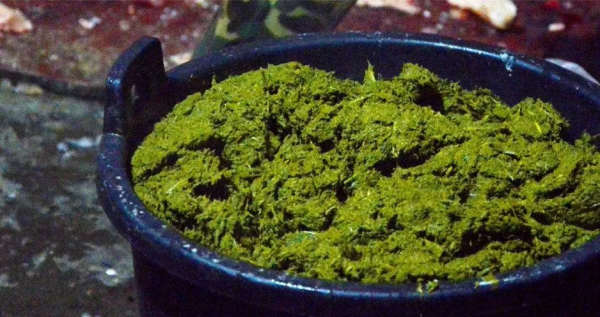 沒有什麼能夠阻擋中國人對美食的嚮往，就算是“屎”也不行