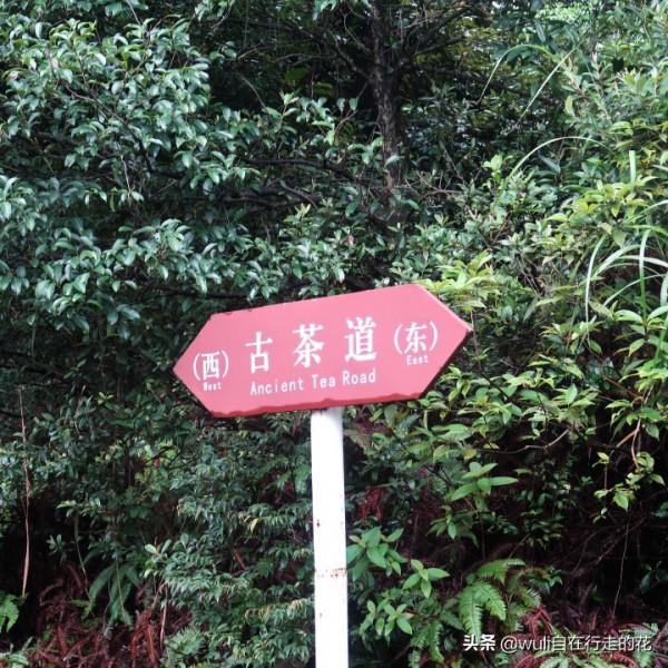 這個秋天,繼續闖蕩福州鼓山,用腳步丈量她的美 | 第63條徒步路線 這個秋天,繼續闖蕩福州鼓山,用腳步丈量她的美 | 第63條徒步路線