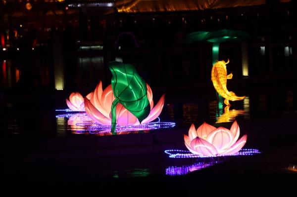 大唐芙蓉園這麼美的花燈，你確定不來嗎？