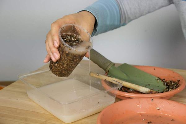 養花必不可少的小物件，在家常備一些，養花得心應手