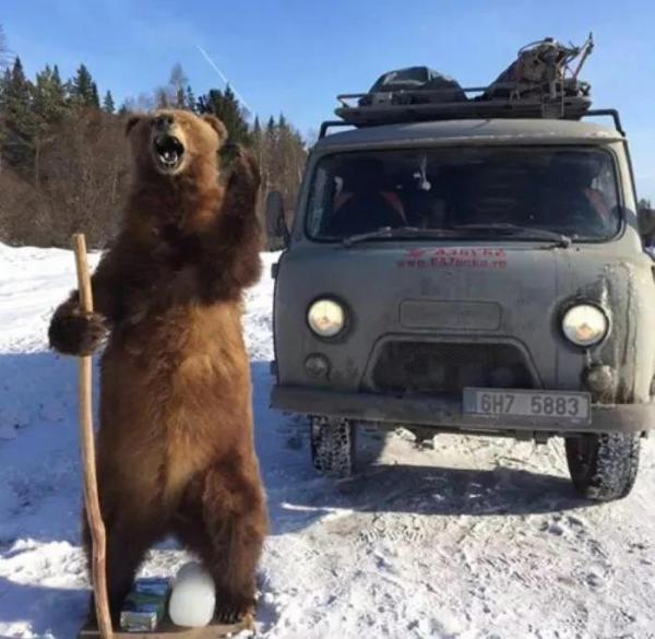 戰鬥民族的“破面包車”究竟有多野？