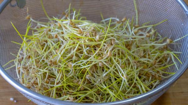 我家從來不買零食，6種自制小零食，沒有烤箱也能做，越嚼越香