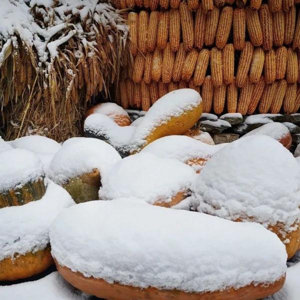立冬之後，邀你一起看雪後的房山
