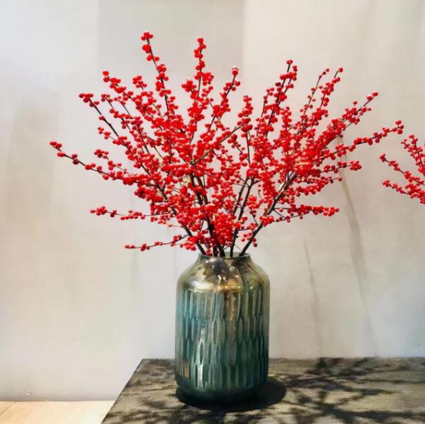 7種&OpenCurlyDoubleQuote;吉祥果&rdquo;家裡放一盆，鮮紅欲滴真可愛，喜氣洋洋顯&OpenCurlyDoubleQuote;富貴&rdquo;