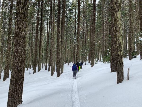 健身太枯燥單調？試試這些有趣的方法