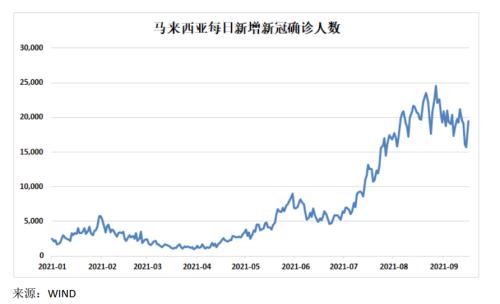 馬來將引入3.2萬海外勞工助力油棕產業 棕櫚油大跌4% 馬來將引入3.2萬海外勞工助力油棕產業 棕櫚油大跌4%